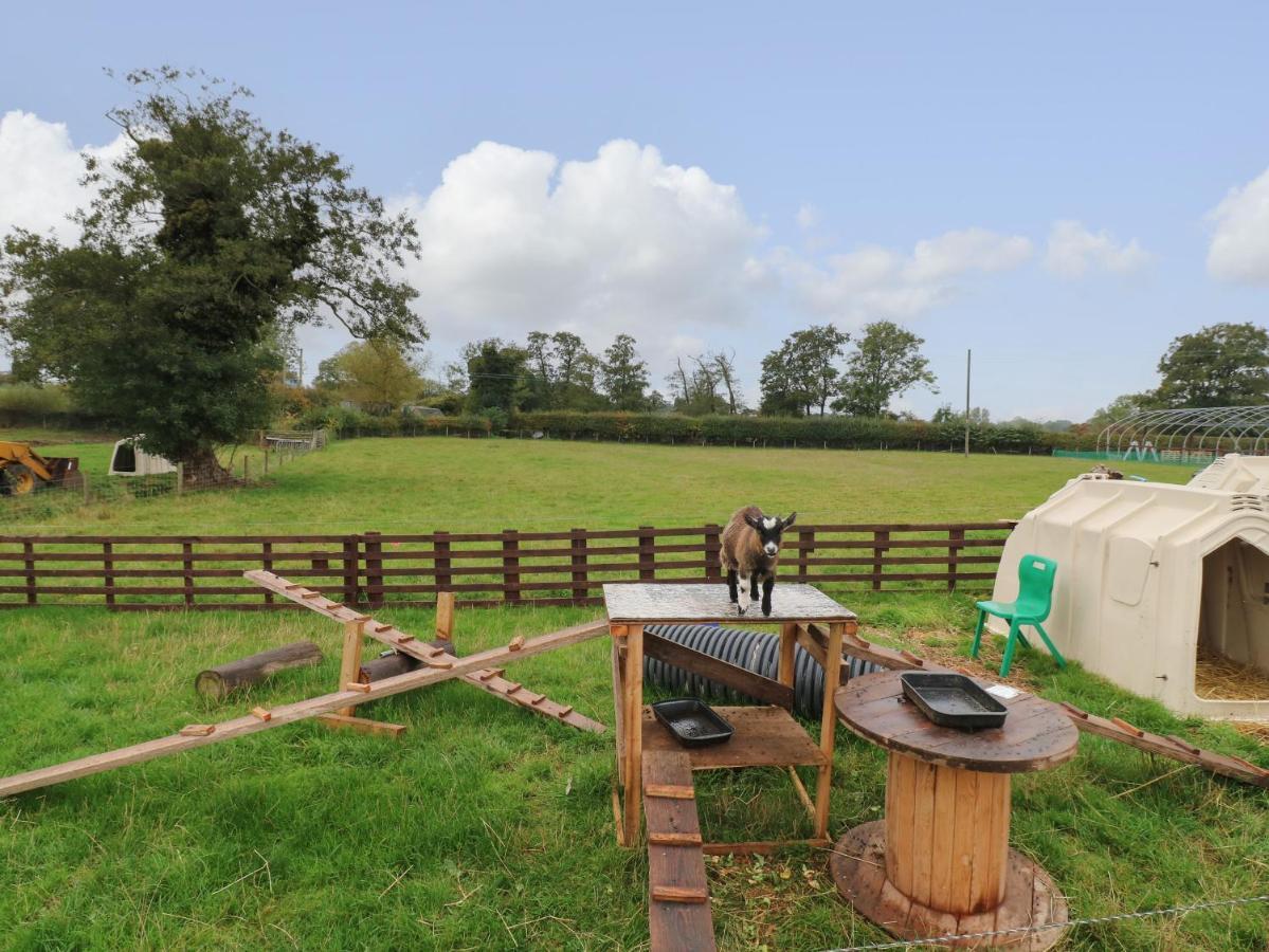 The Pod At Bank House Farm Stafford Exterior foto